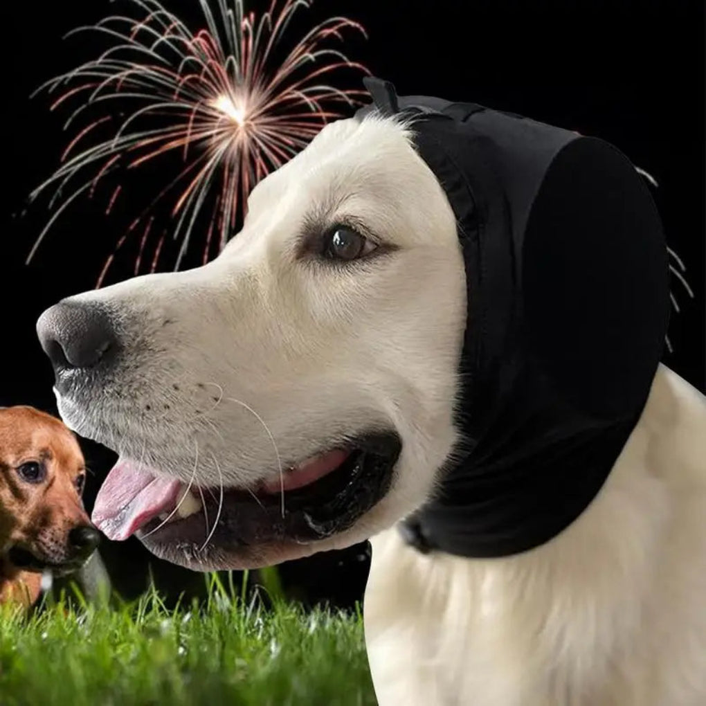 Cache-oreilles pour chien pour réduire le bruit