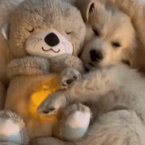 Peluche Apaisante : Douceur et Sérénité au Quotidien
