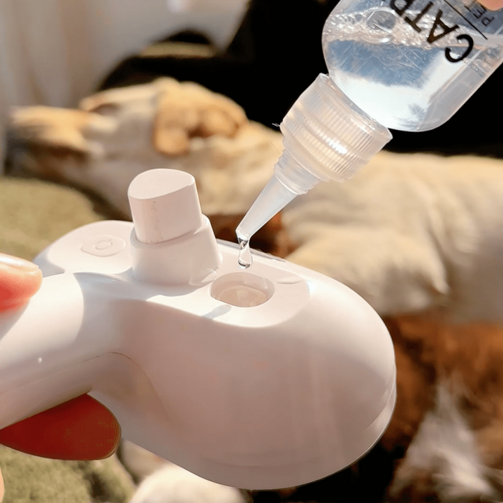 Brosse à vapeur BrushPaw pour chiens