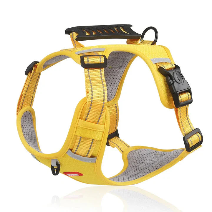 Harnais anti-traction pour chien