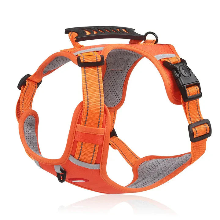 Harnais anti-traction pour chien