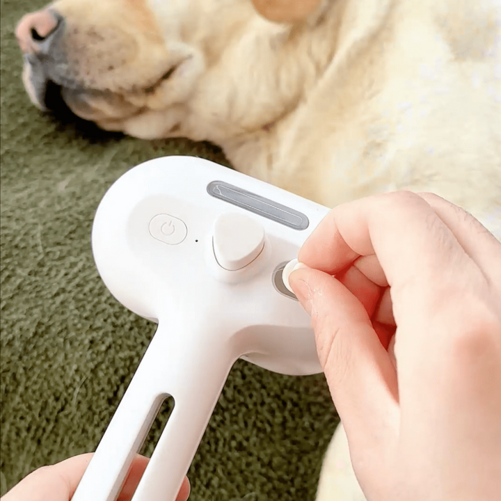 Brosse à vapeur BrushPaw pour chiens