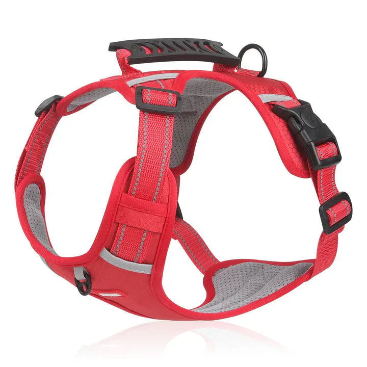 Harnais anti-traction pour chien