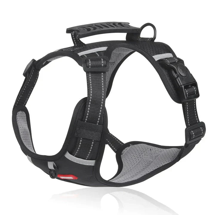 Harnais anti-traction pour chien