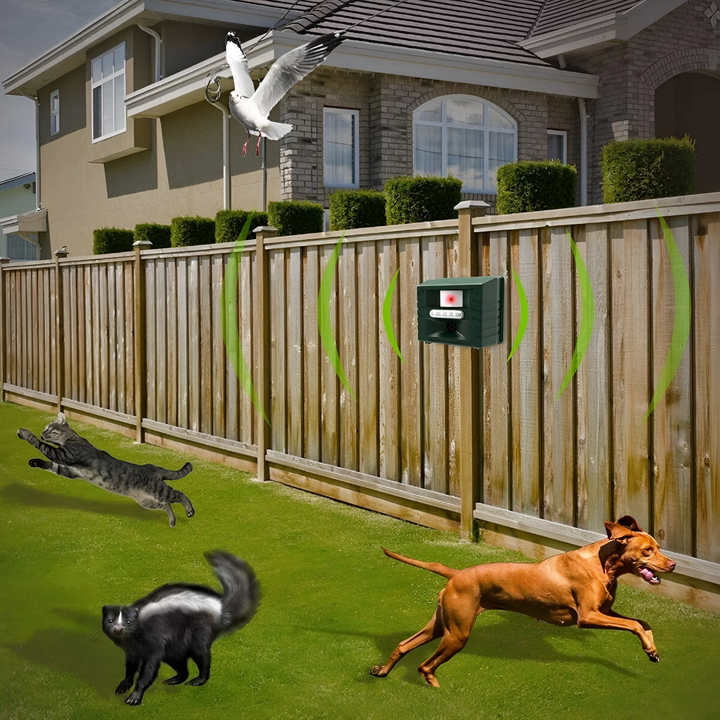 Répulsif à ultrasons pour pics, pour un contrôle efficace des oiseaux