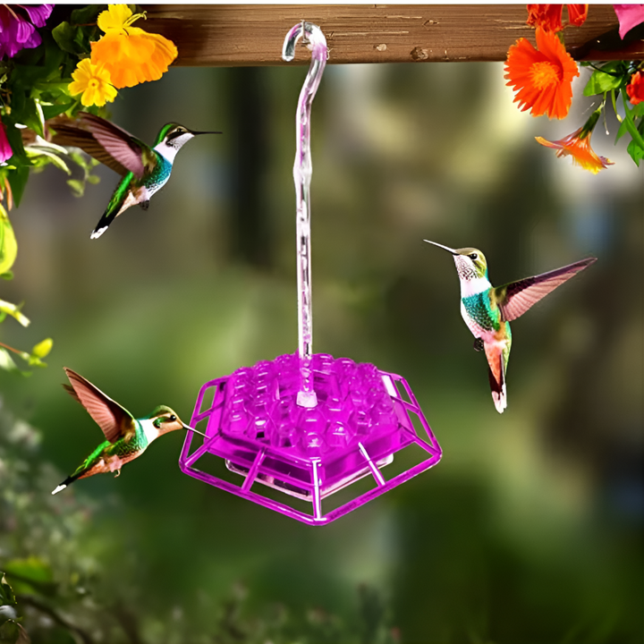 Mangeoire à colibris anti-fourmis