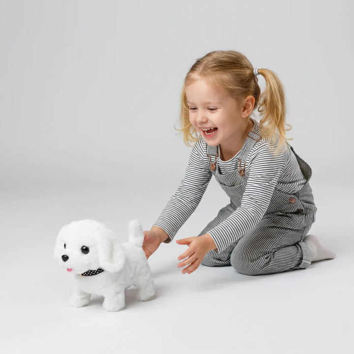Jouet Interactif pour Chien