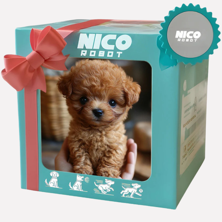 Jouet Interactif pour Chien