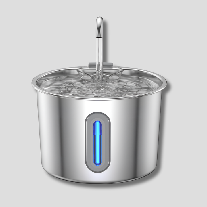 Fontaine à eau en acier inoxydable pour chats et petits chiens