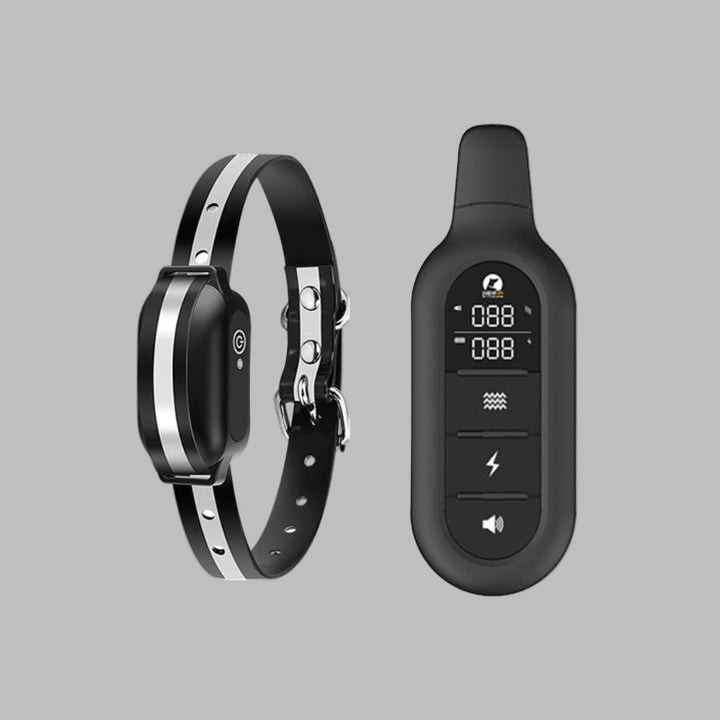 Collier de dressage électrique pour chien avec télécommande