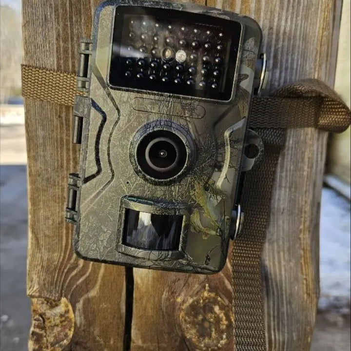 Caméra de vision nocturne pour la faune