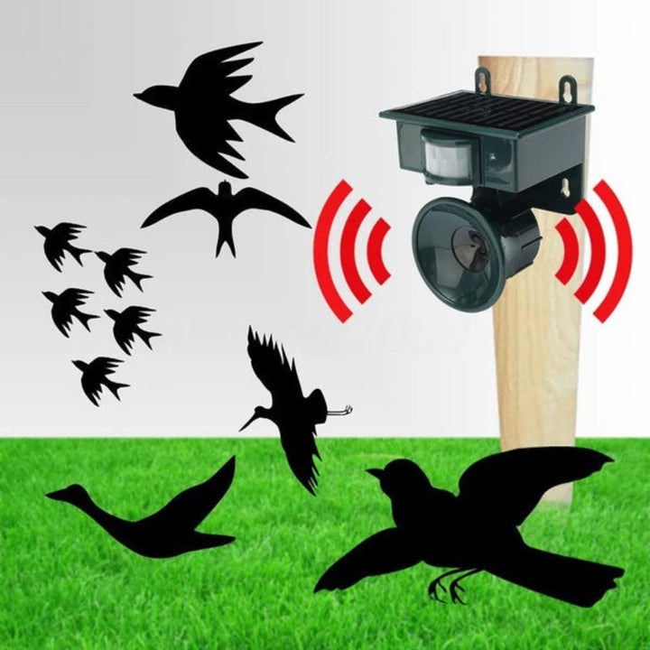 Répulsif et effaroucheur d'oiseaux à détecteur de mouvement de qualité supérieure