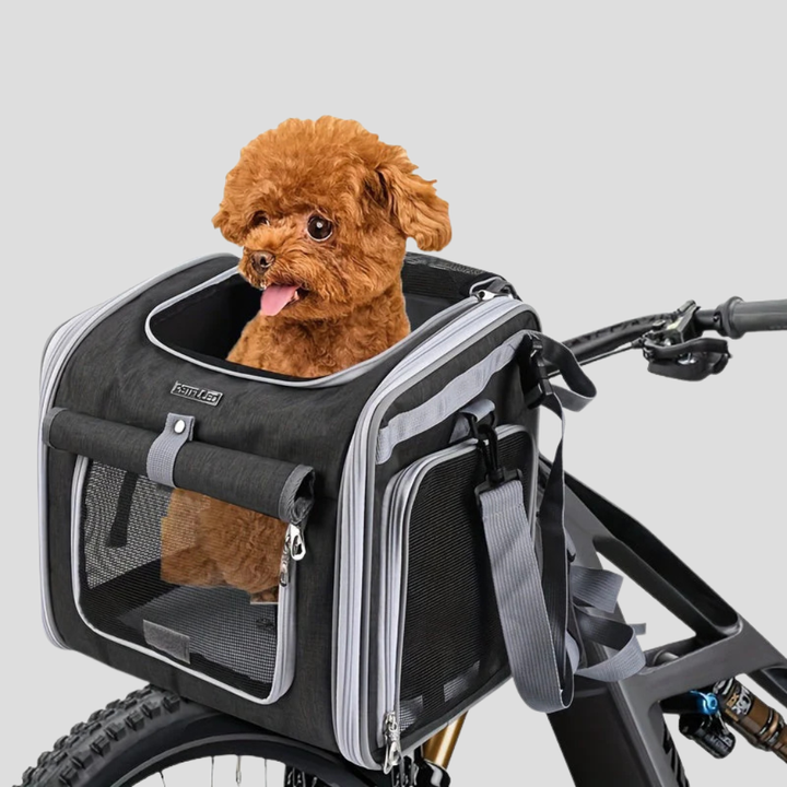 Panier de vélo extensible pour animaux de compagnie