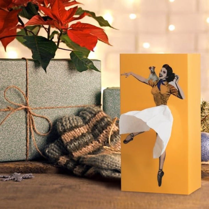 Boîte à mouchoirs artistique pour la décoration intérieure