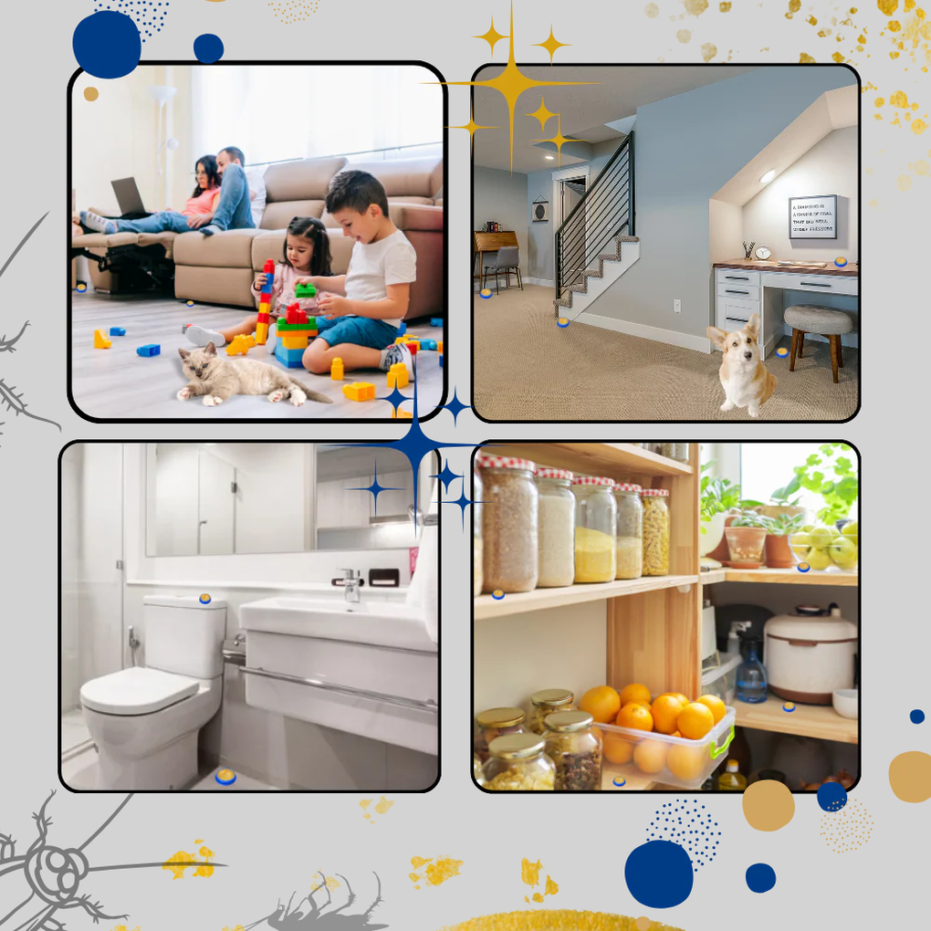 Pièges à cafards inodores – Solution discrète de lutte antiparasitaire