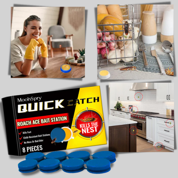 Pièges à cafards inodores – Solution discrète de lutte antiparasitaire
