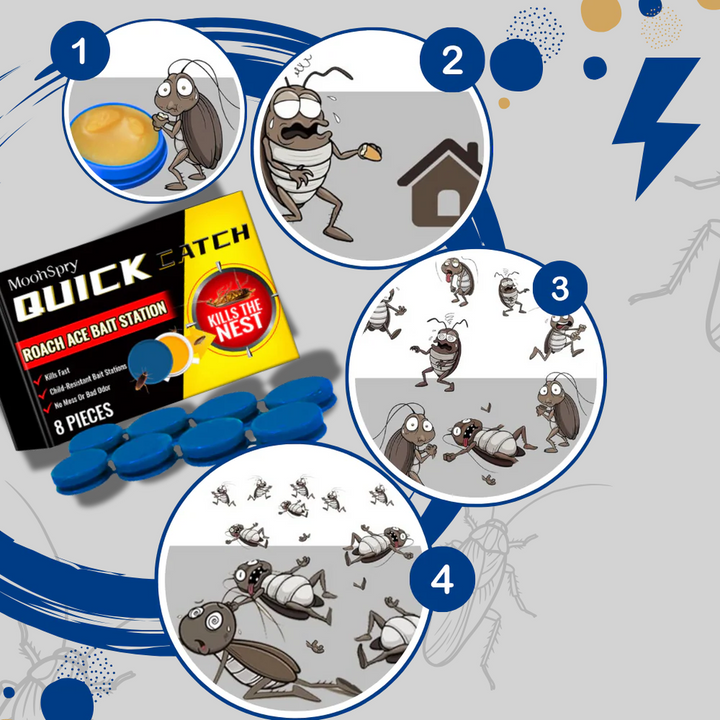 Pièges à cafards inodores – Solution discrète de lutte antiparasitaire