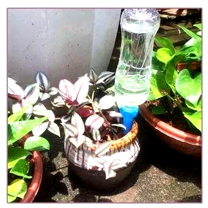 Pointes d'arrosage automatiques pour plantes (lot de 12) – Aide au jardinage à débit réglable