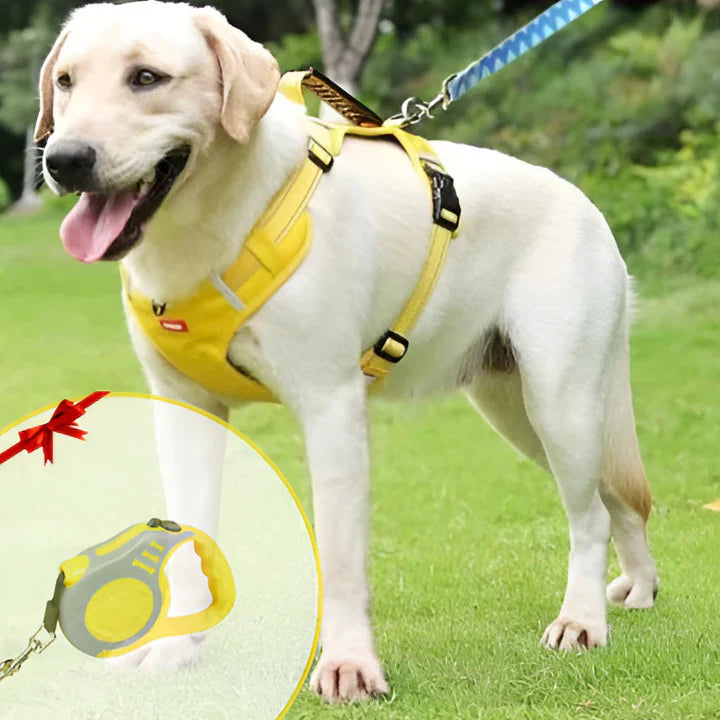 Harnais anti-traction pour chien