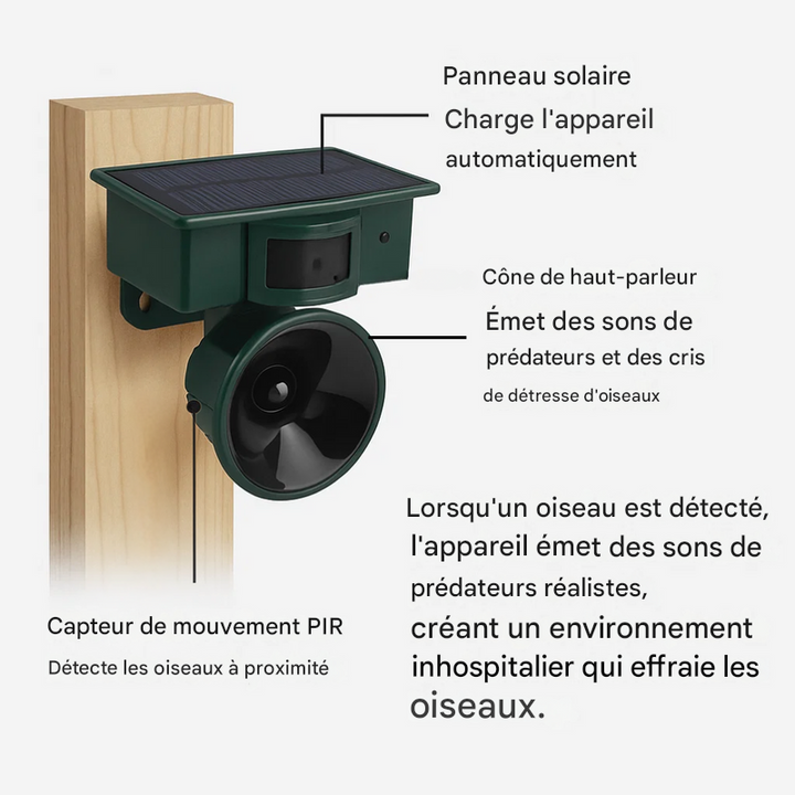 Répulsif et effaroucheur d'oiseaux à détecteur de mouvement de qualité supérieure