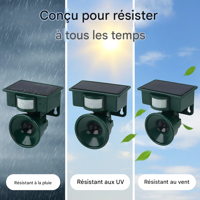Répulsif et effaroucheur d'oiseaux à détecteur de mouvement de qualité supérieure