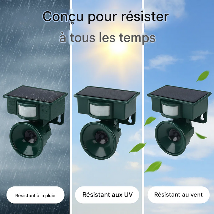 Répulsif et effaroucheur d'oiseaux à détecteur de mouvement de qualité supérieure