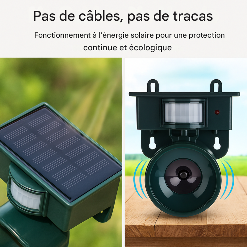 Répulsif et effaroucheur d'oiseaux à détecteur de mouvement de qualité supérieure