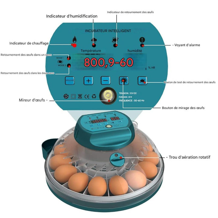 Incubateur pour 15 œufs avec contrôle automatique de l'humidité