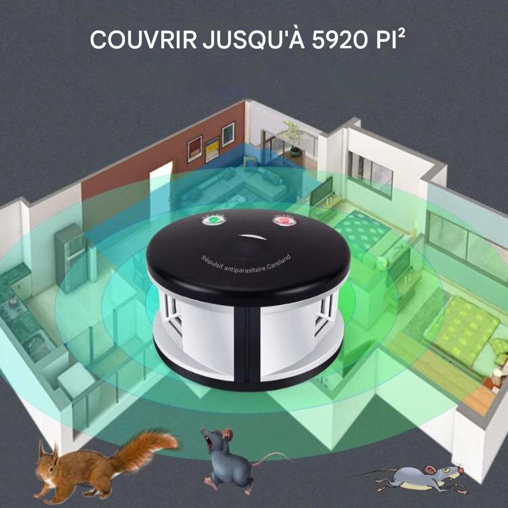 Répulsif à rats d'intérieur écologique