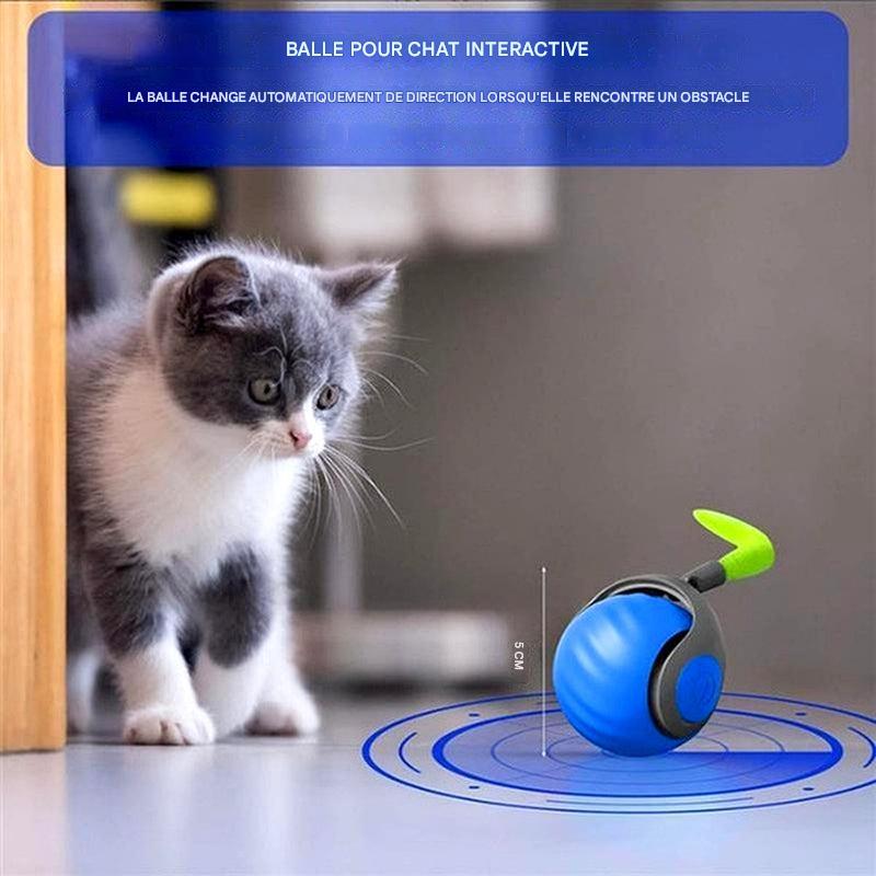 Jouet interactif pour chat – Sphère de jeu roulante et mobile