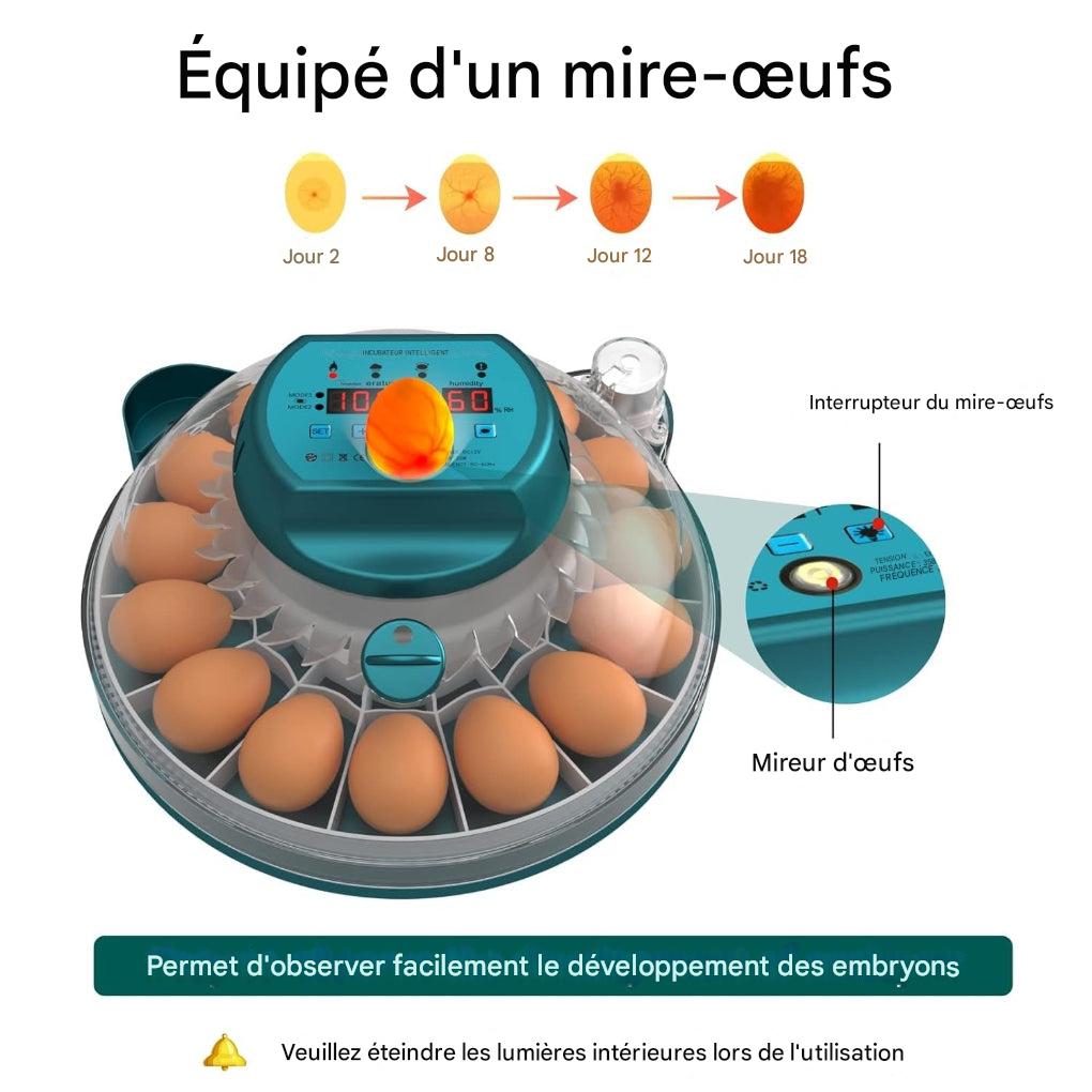 Incubateur pour 15 œufs avec contrôle automatique de l'humidité