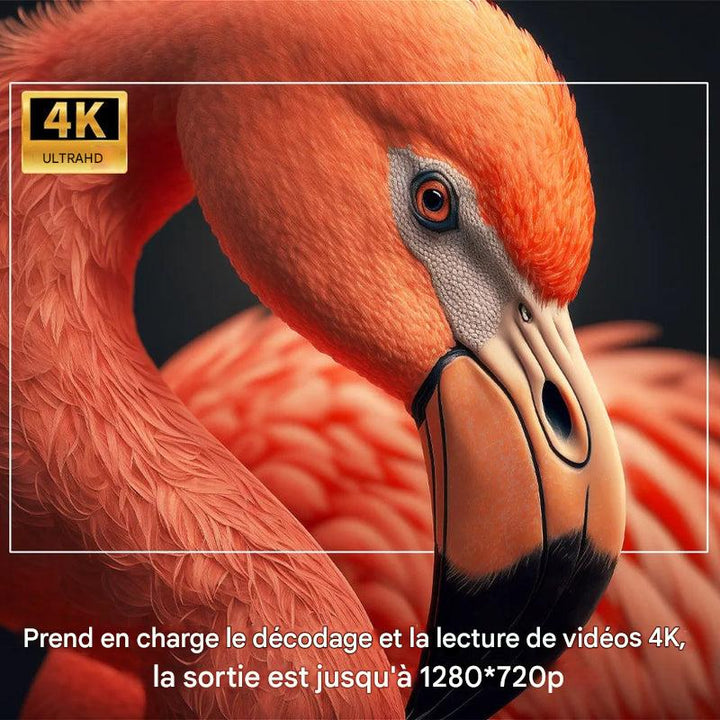 Projecteur extérieur portable