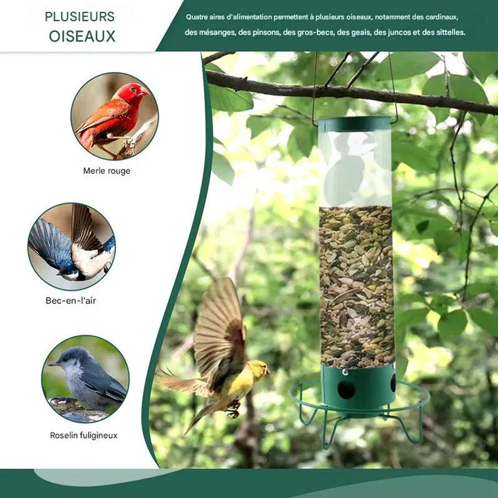 Mangeoire à oiseaux anti-écureuils