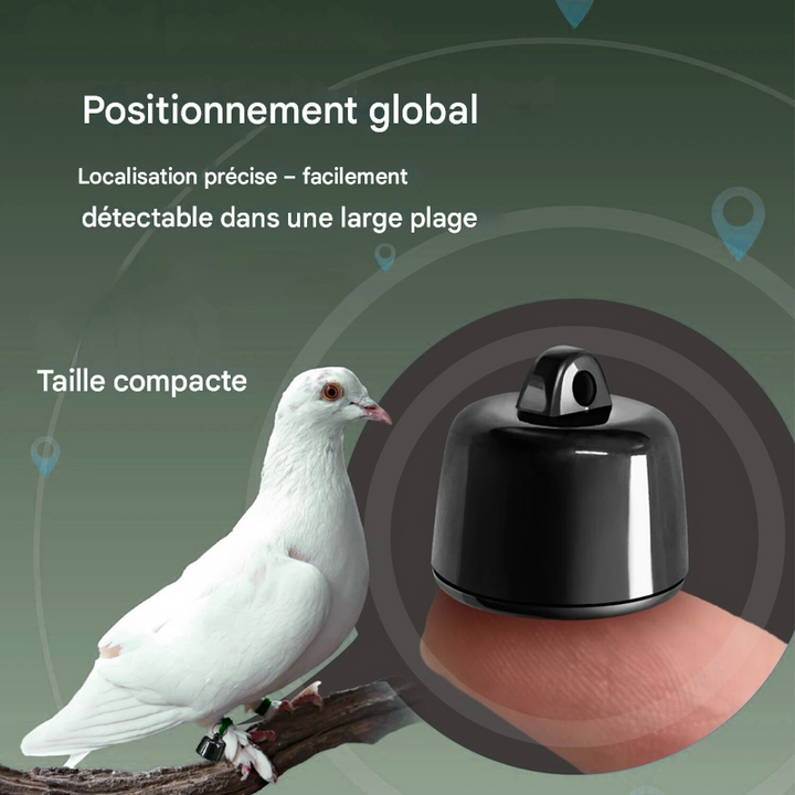 Mini localisateur GPS pour animaux de compagnie SmartPet Tracker