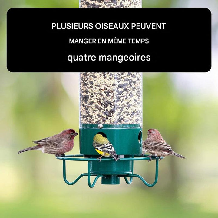 Mangeoire à oiseaux anti-écureuils