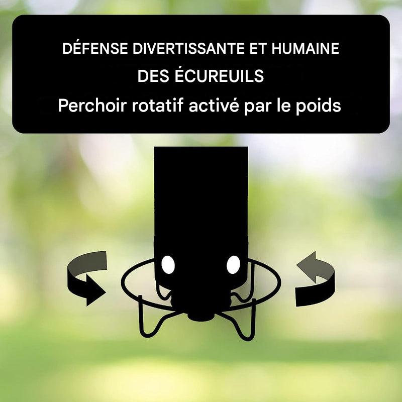 Mangeoire à oiseaux anti-écureuils