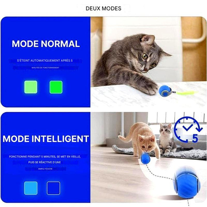 Jouet interactif pour chat – Sphère de jeu roulante et mobile