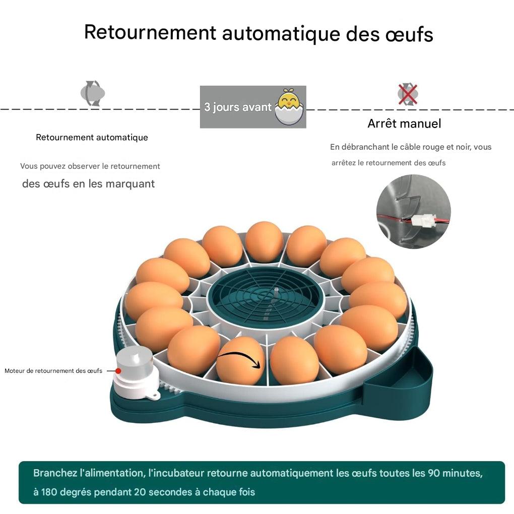 Incubateur pour 15 œufs avec contrôle automatique de l'humidité