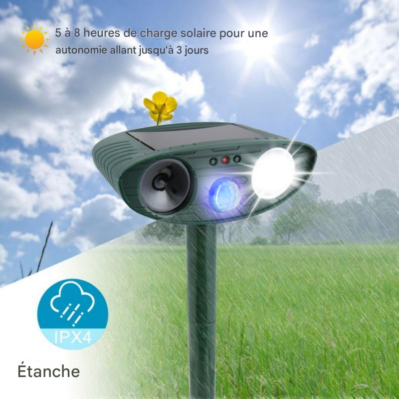 Répulsif solaire ultrasonique pour animaux activé par le mouvement