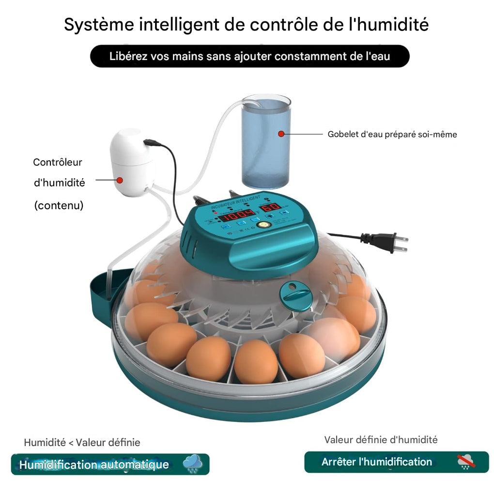 Incubateur pour 15 œufs avec contrôle automatique de l'humidité