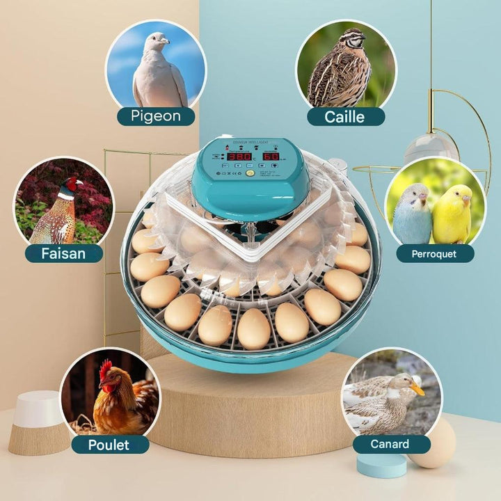 Incubateur pour 15 œufs avec contrôle automatique de l'humidité