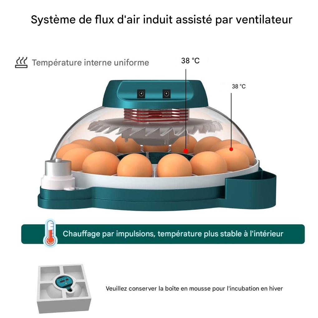 Incubateur pour 15 œufs avec contrôle automatique de l'humidité