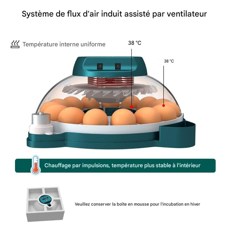 Incubateur pour 15 œufs avec contrôle automatique de l'humidité