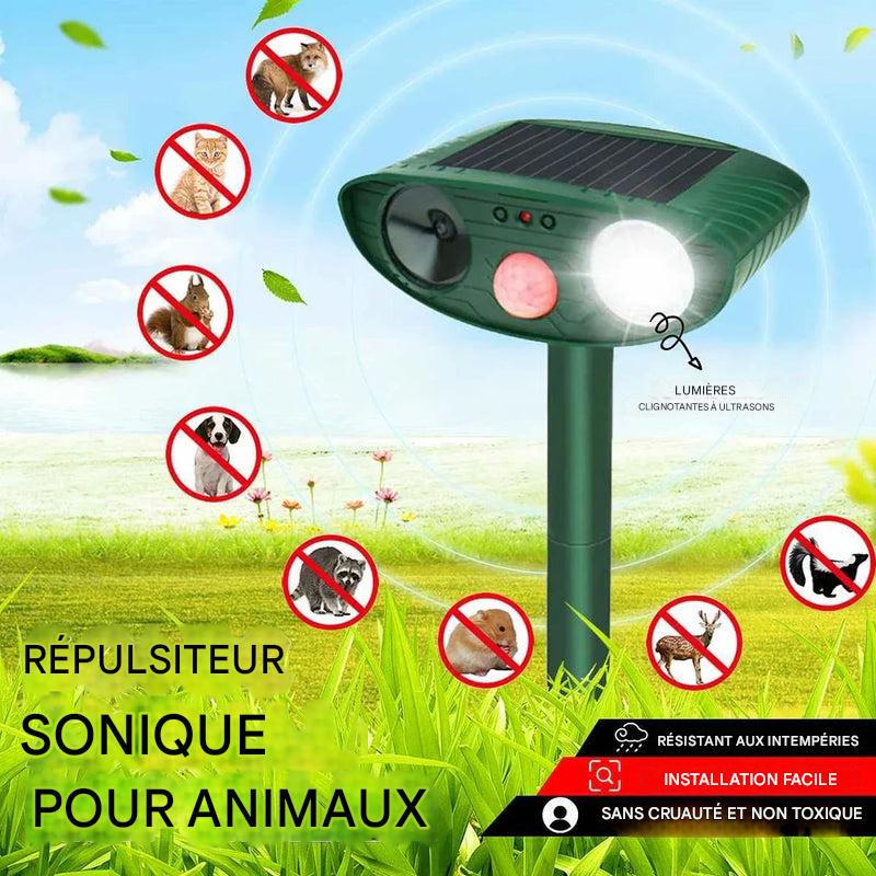 Répulsif à ultrasons pour tamias et à énergie solaire