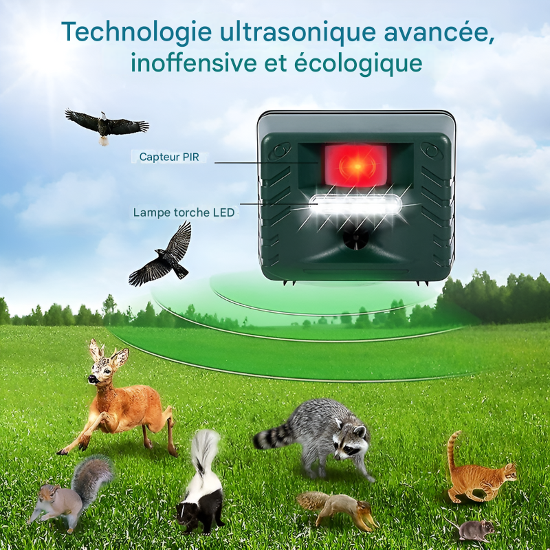Répulsif à ultrasons pour pics, pour un contrôle efficace des oiseaux
