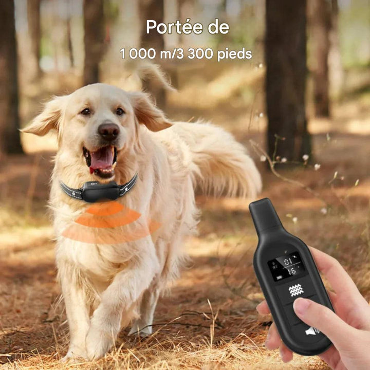 Collier de dressage électrique pour chien avec télécommande