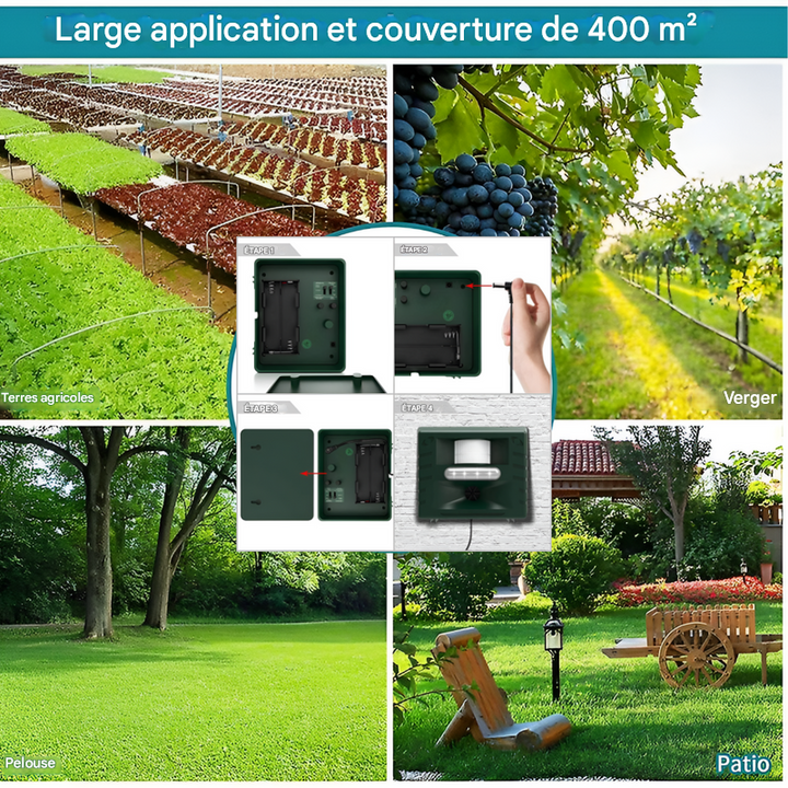 Répulsif à ultrasons pour pics, pour un contrôle efficace des oiseaux