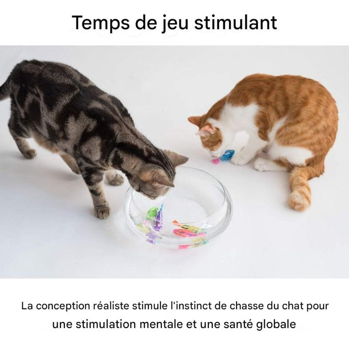 Ensemble de jouets interactifs pour chat – Mouvement de nage réaliste et lumière captivante