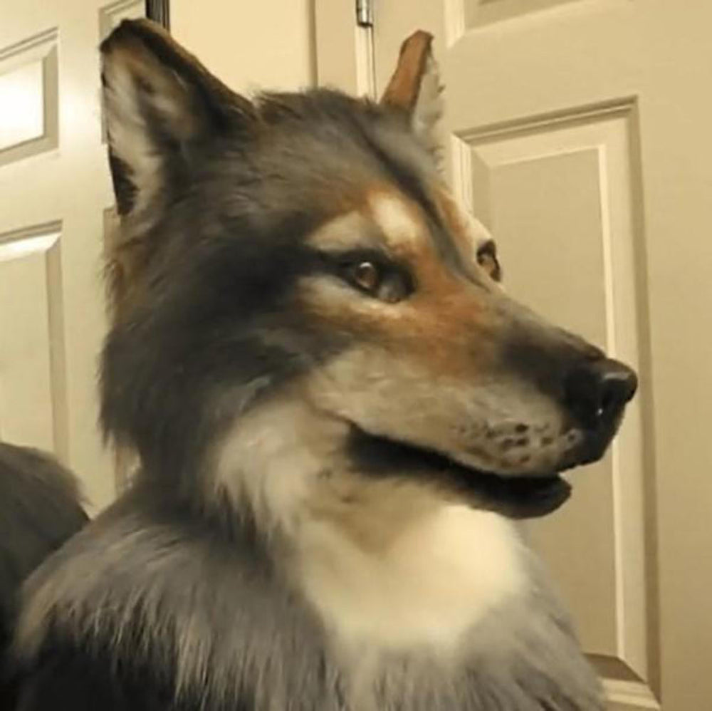 Wolf Mask - Realistic Effect - Halloween zaxx